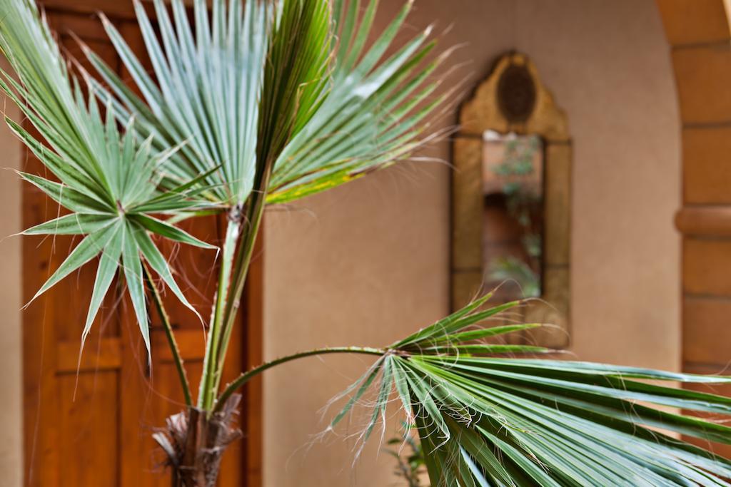 Riad Chbanate Esauira Exterior foto